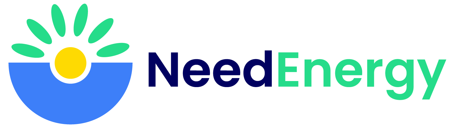 Need Energy South Africa logo